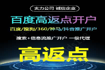 百度推广的成功案例：从零到一的突破